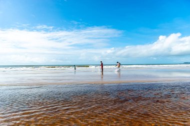 Reddish water of a river against the blue sky. Guaibim beach, coast of the sea of Bahia, Brazil