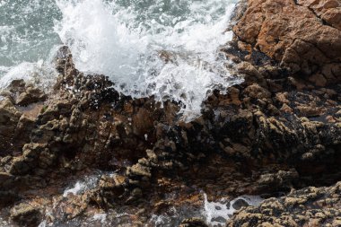 Deniz plajı ve kayalar petrolle kirlenmiş. Brezilya 'nın kuzeydoğusundaki ham petrol sızıntısı çevreyi etkiledi. Rio Vermelho Plajı, Salvador, Brezilya.