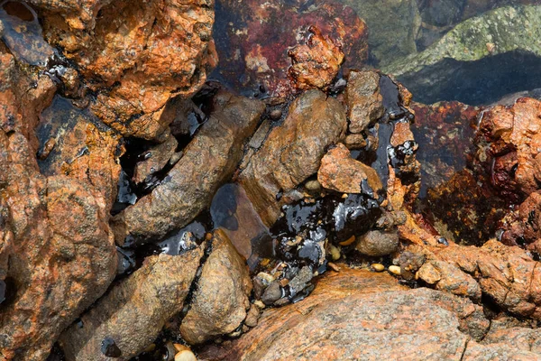 Playa Del Mar Las Rocas Están Contaminadas Con Petróleo Derrame —  Fotos de Stock