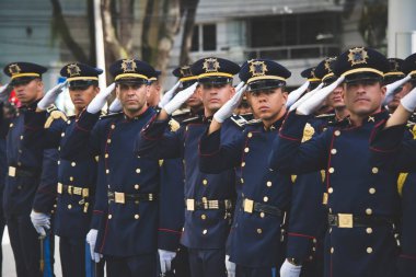Salvador, Bahia, Brazil - September 7, 2016: Military personnel in formation during a military parade commemorating the independence of Brazil in the city of Salvador, Bahia.