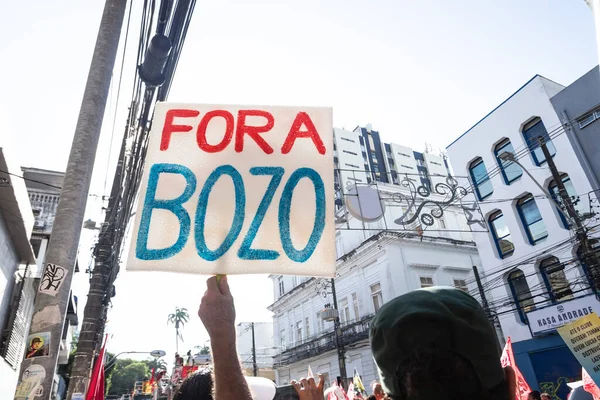 Сальвадор Баия Бразилия Ноября 2021 Года Бразильцы Протестуют Плакатами Против — стоковое фото