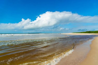 Reddish water of a river against the blue sky. Guaibim beach, coast of the sea of Bahia, Brazil