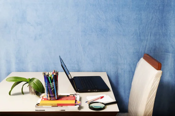 Desk with colored pencils, laptop, books, a magnifying glass and a plant at home or office. Business, people and technology concept.