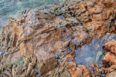 Salvador, Bahia, Brezilya - 03 Kasım 2019: Deniz plajı ve kayalar petrolle kirlenmiş. Brezilya 'nın kuzeydoğusundaki ham petrol sızıntısı çevreyi etkiledi. 