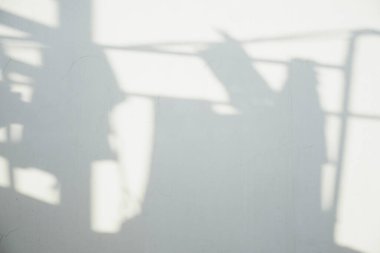 Ormanda parlayan güneşin gölgesi