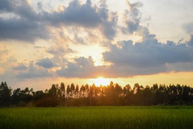Parlak turuncu gökyüzü ve güneşin ışığı.