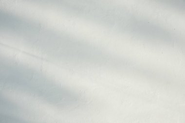 Ormanda parlayan güneşin gölgesi