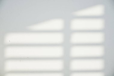 Ormanda parlayan güneşin gölgesi