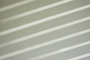 Ormanda parlayan güneşin gölgesi