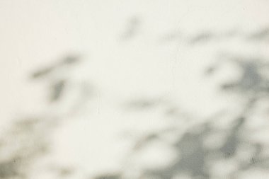 Ormanda parlayan güneşin gölgesi