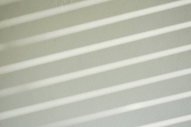 Ormanda parlayan güneşin gölgesi