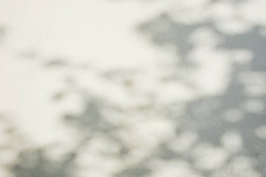 Ormanda parlayan güneşin gölgesi