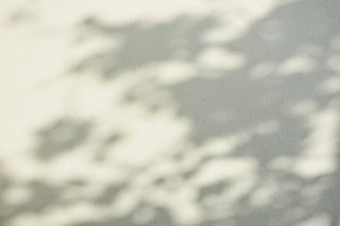 Ormanda parlayan güneşin gölgesi