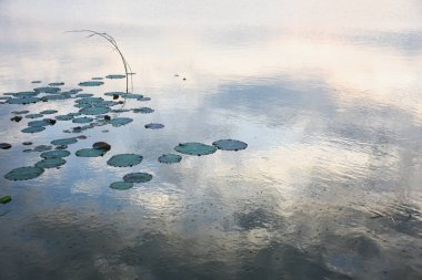 günbatımında gökyüzü arkaplanı