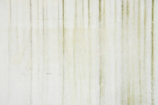 Μος Στον Λευκό Τσιμεντένιο Τοίχο — Φωτογραφία Αρχείου