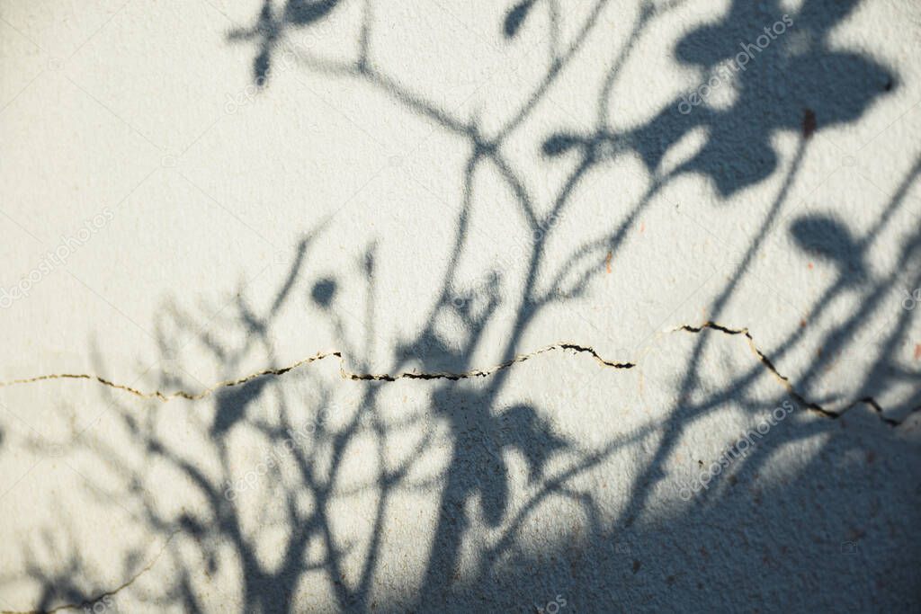 cracks on white cement wall