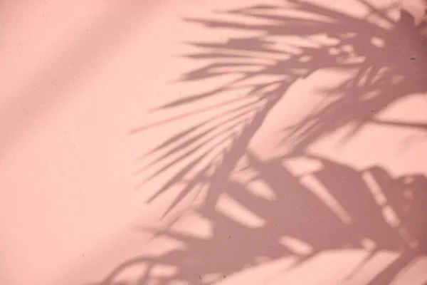 Shadow Sun Shining Wood Pink Cement Floor — Stock fotografie