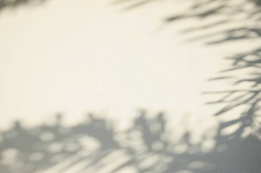 Ahşap zeminde parlayan güneş ışığı gölgeleri beyaz beton zemin