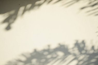 Ahşap zeminde parlayan güneş ışığı gölgeleri beyaz beton zemin