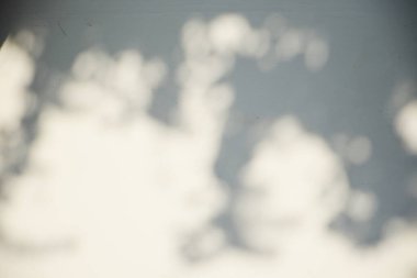 Ahşap zeminde parlayan güneş ışığı gölgeleri beyaz beton zemin