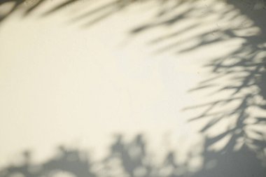 Ahşap zeminde parlayan güneş ışığı gölgeleri beyaz beton zemin