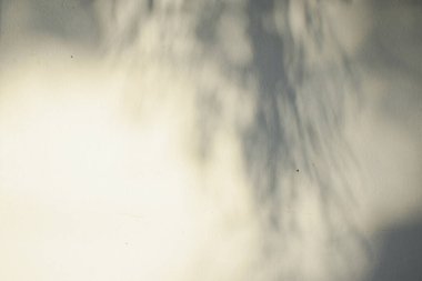 Ahşap zeminde parlayan güneş ışığı gölgeleri beyaz beton zemin