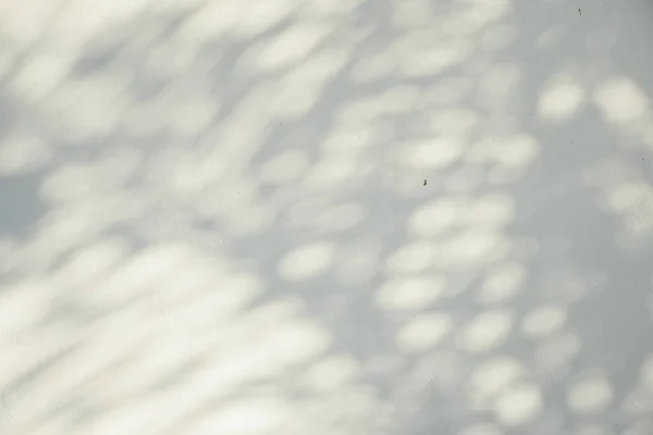 Sombras Luz Solar Brilhando Através Chão Madeira Piso Cimento Branco — Fotografia de Stock