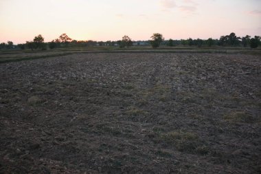 Gün batımında engin kuru tarlaların manzarası