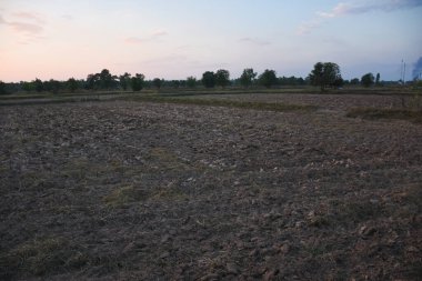 Gün batımında engin kuru tarlaların manzarası