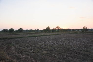 Gün batımında engin kuru tarlaların manzarası