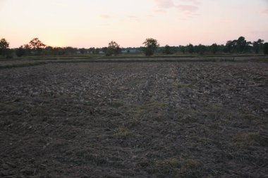 Gün batımında engin kuru tarlaların manzarası