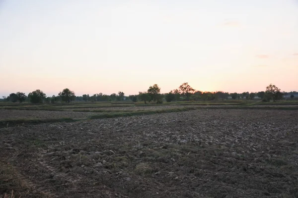 Gün batımında engin kuru tarlaların manzarası