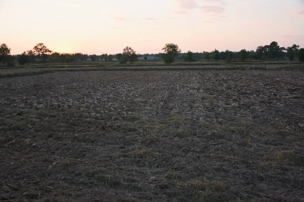 Gün batımında engin kuru tarlaların manzarası