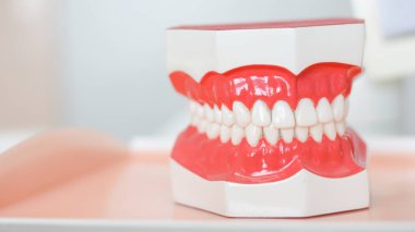 Hastanedeki dişçi modeli müşterilerin yerine kullanılacak..