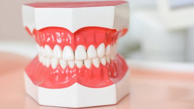 Hastanedeki dişçi modeli müşterilerin yerine kullanılacak..