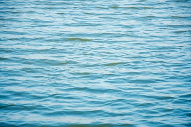 Suyun yüzeyi akşamları masmaviydi, rüzgar esiyordu, küçük dalgalar yaratıyordu..