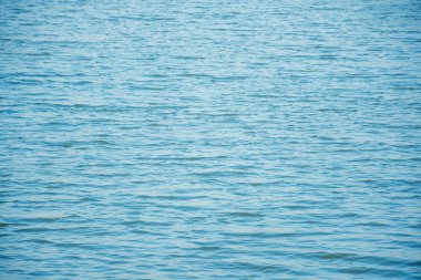 Suyun yüzeyi akşamları masmaviydi, rüzgar esiyordu, küçük dalgalar yaratıyordu..