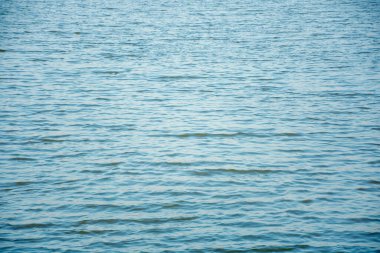 Suyun yüzeyi akşamları masmaviydi, rüzgar esiyordu, küçük dalgalar yaratıyordu..