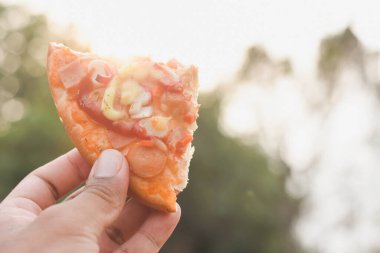 Hawaii usulü jambonlu ve ananaslı pizza.