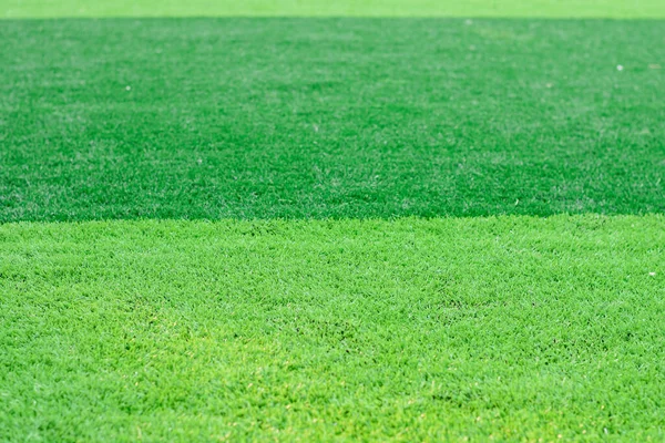 Artificial Turf Background Football Field Stock Picture