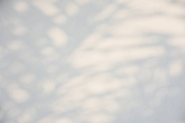 Ormanda parlayan güneşin gölgesi