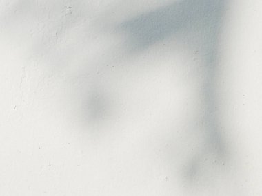 Ormanda parlayan güneşin gölgesi