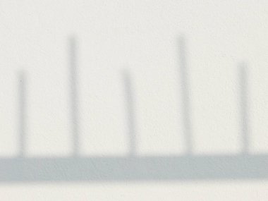 Ormanda parlayan güneşin gölgesi