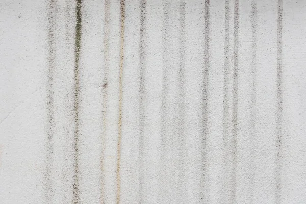 Mousse Sur Mur Ciment Blanc — Photo