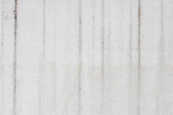 Mousse Sur Mur Ciment Blanc — Photo