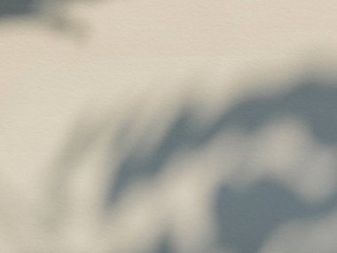 Ormanda parlayan güneşin gölgesi