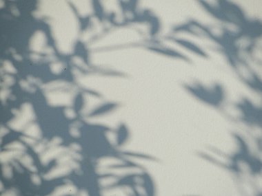 Ormanda parlayan güneşin gölgesi