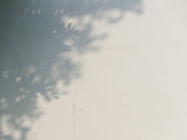 Tasarım için güneşin gölgesi ormanda parlıyor.