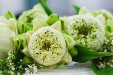 Masadaki nilüfer çiçekleri.