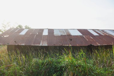 Orman ve gökyüzünde eski bir teneke ev..